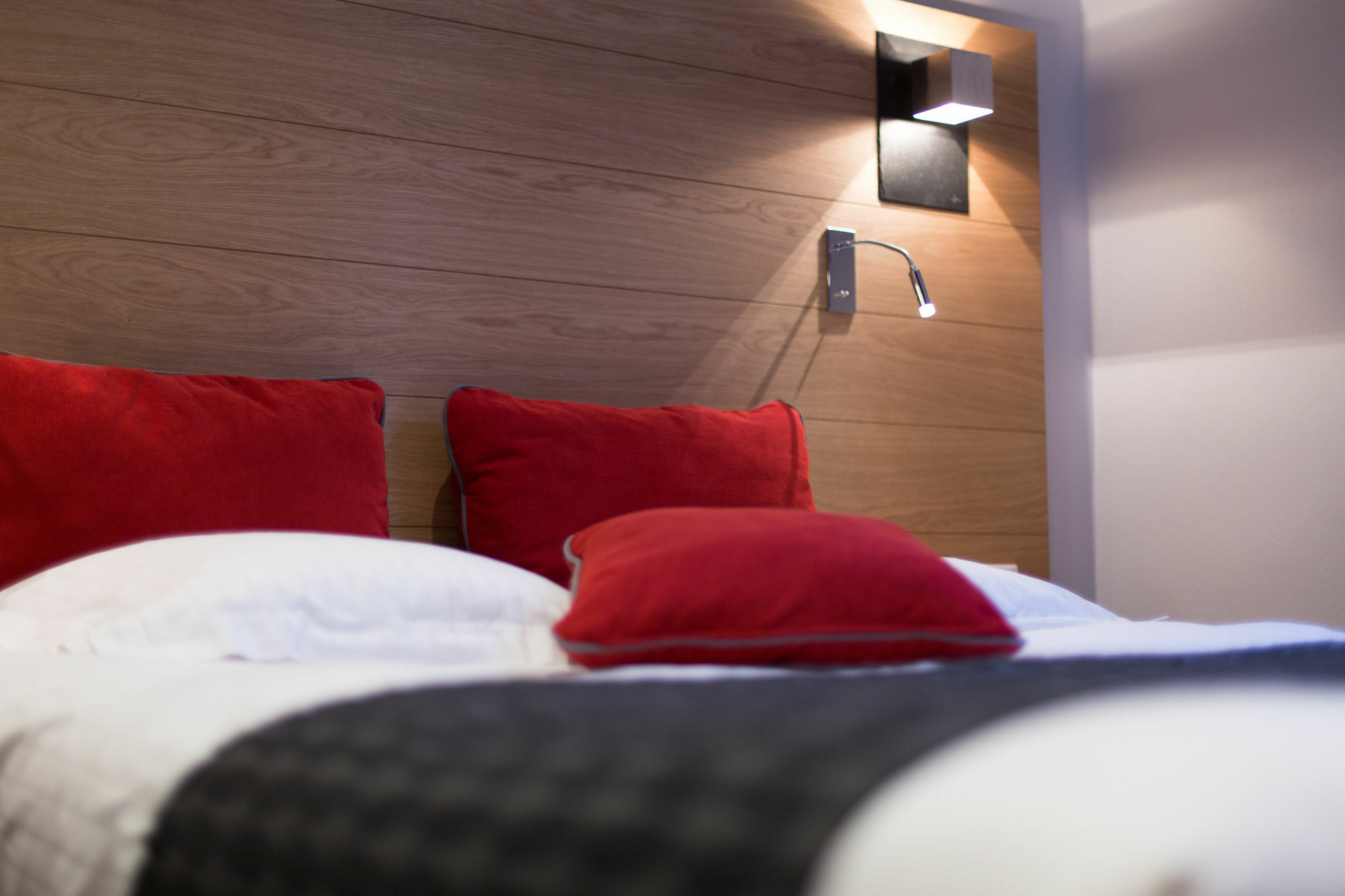 Hotel Des Princes, Chambery Centre Екстериор снимка